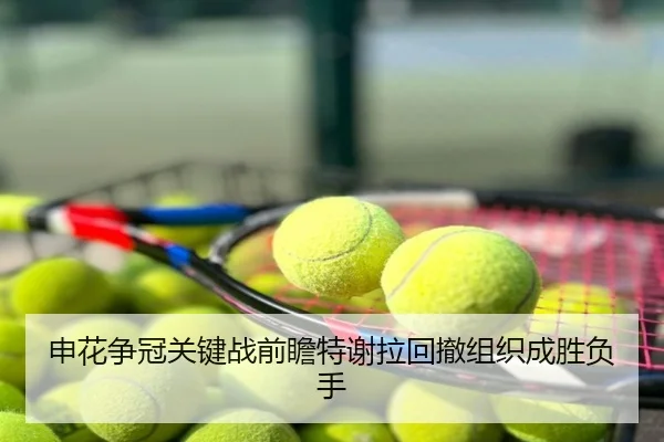 申花争冠关键战前瞻特谢拉回撤组织成胜负手